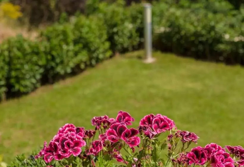 Bright & Spacious Two Floor Family Garden Home