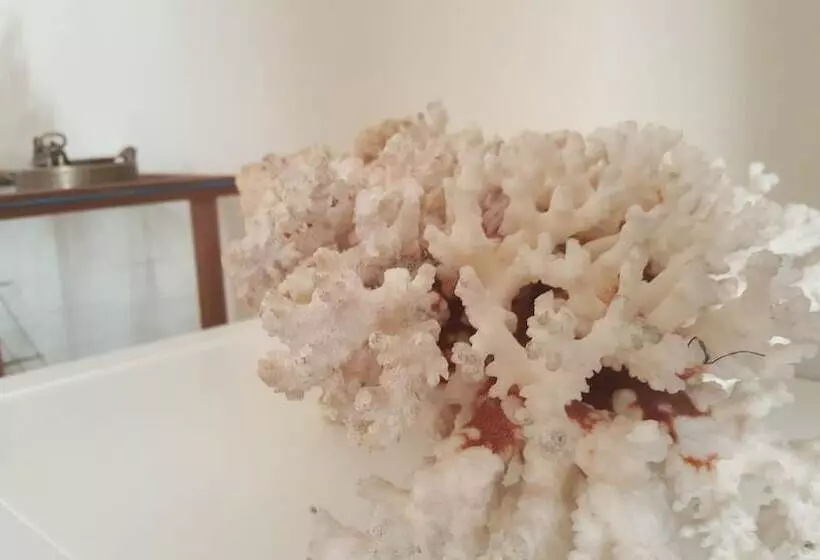 Captain S Luxury Suite