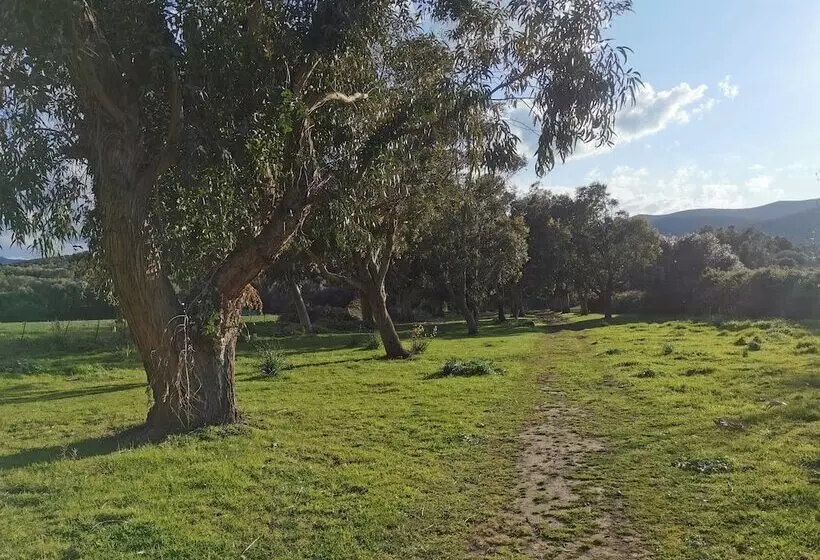 Hotelli Village Camping  De L Ostriconi