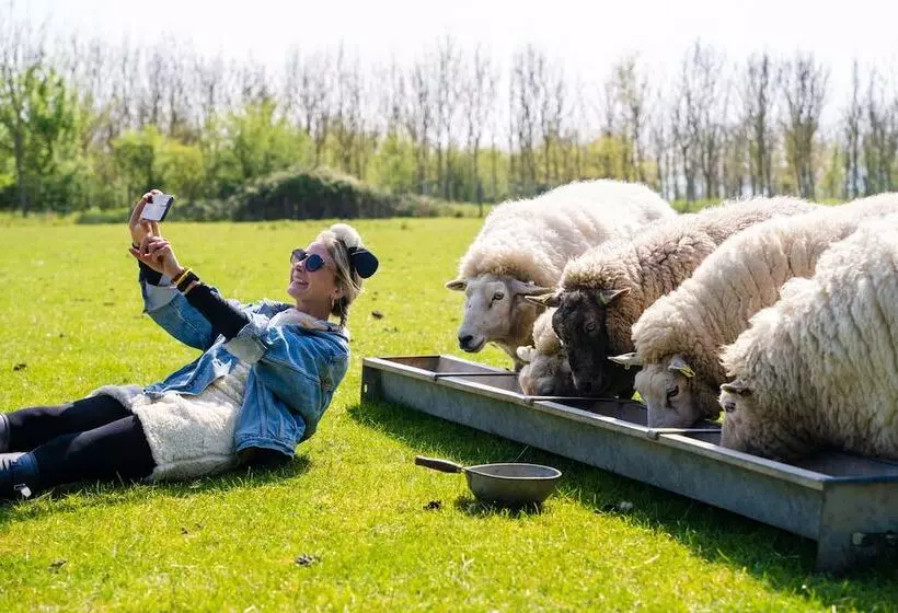 Overe   The Farm Camp