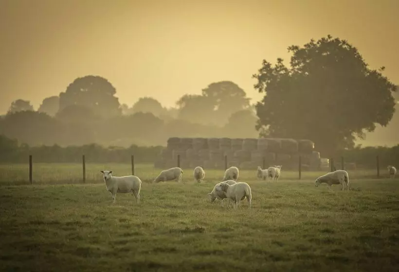 Overe   The Farm Camp