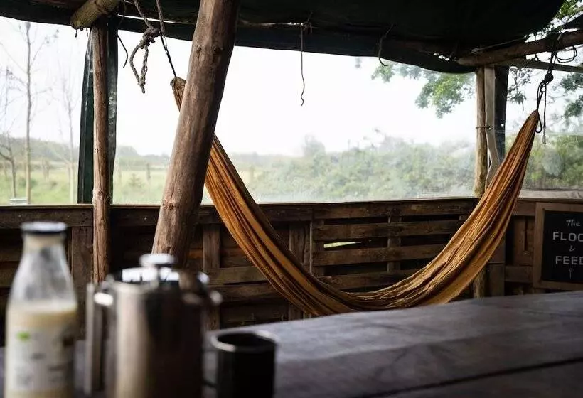 Overe   The Farm Camp