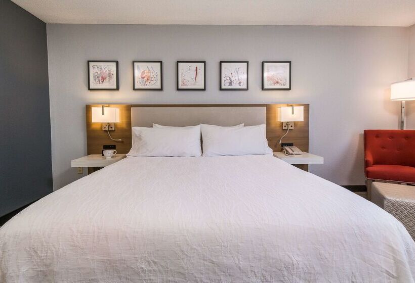 ホテル Hilton Garden Inn Atlanta North/johns Creek