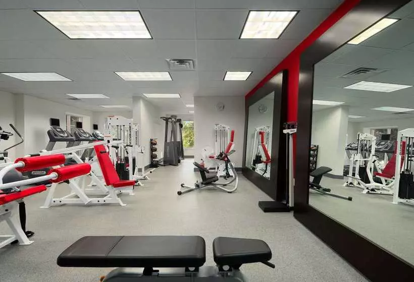 Hotel Hilton Garden Inn Atlanta North/johns Creek