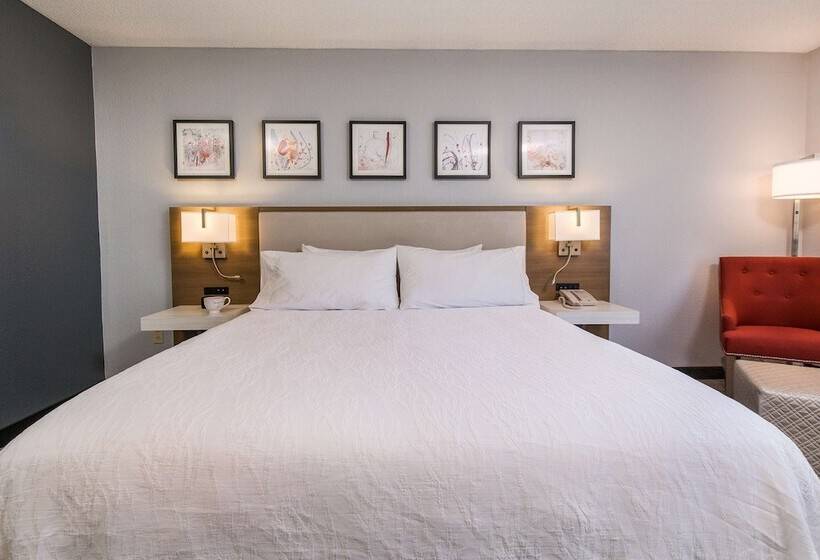 ホテル Hilton Garden Inn Atlanta North/johns Creek