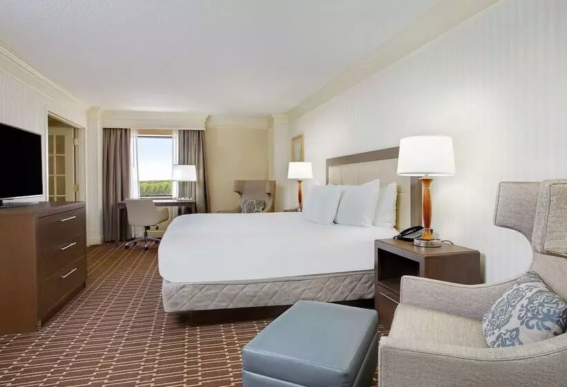 Отель Hilton Jackson