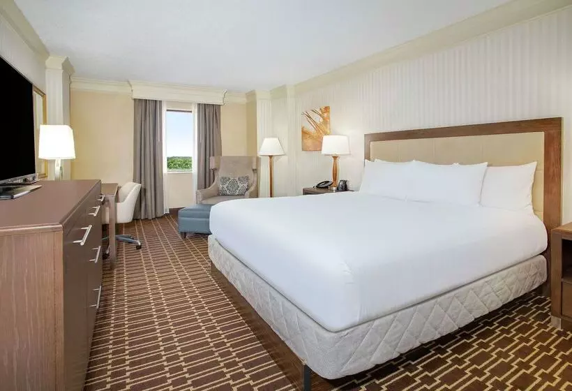 Отель Hilton Jackson