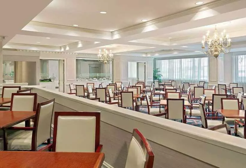 Отель Hilton Jackson