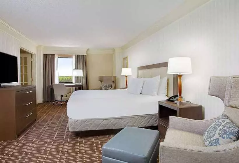 Отель Hilton Jackson