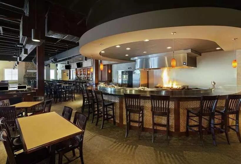 Отель Hilton Jackson