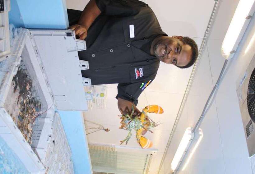 فندق Hilton Jackson