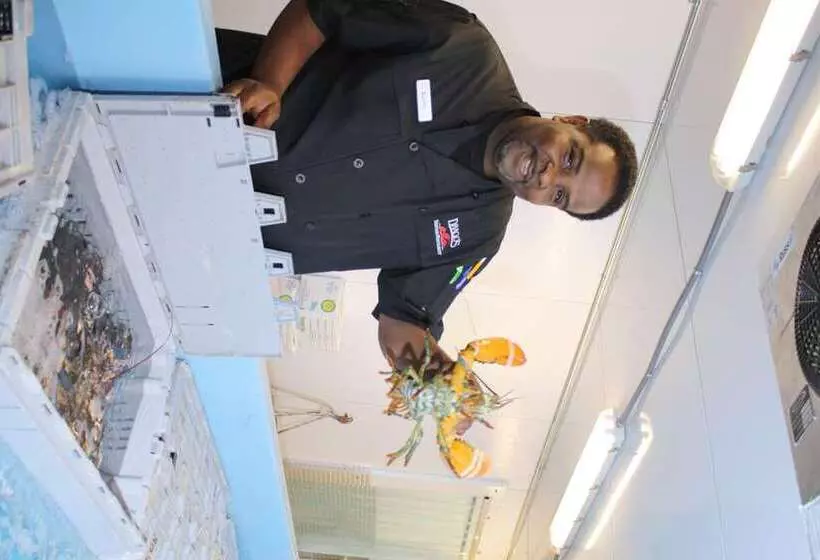 Отель Hilton Jackson