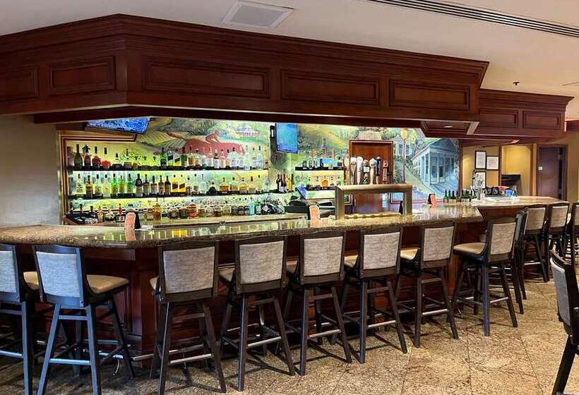 فندق Hilton Washington Dulles Airport