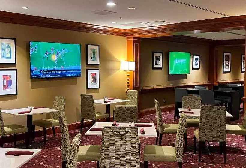 酒店 Hilton Washington Dulles Airport