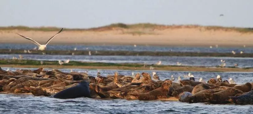 酒店 The Hawthorne