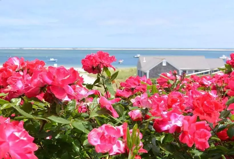 酒店 The Hawthorne