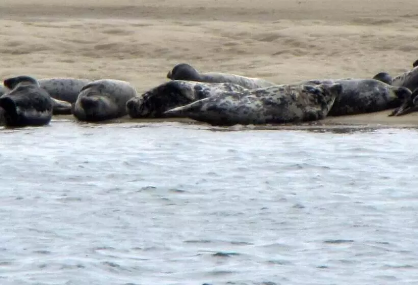 酒店 The Hawthorne