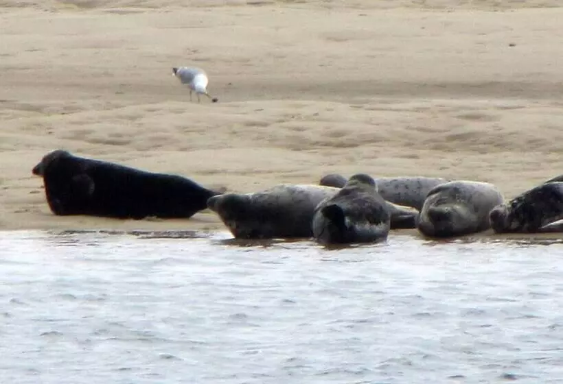 酒店 The Hawthorne