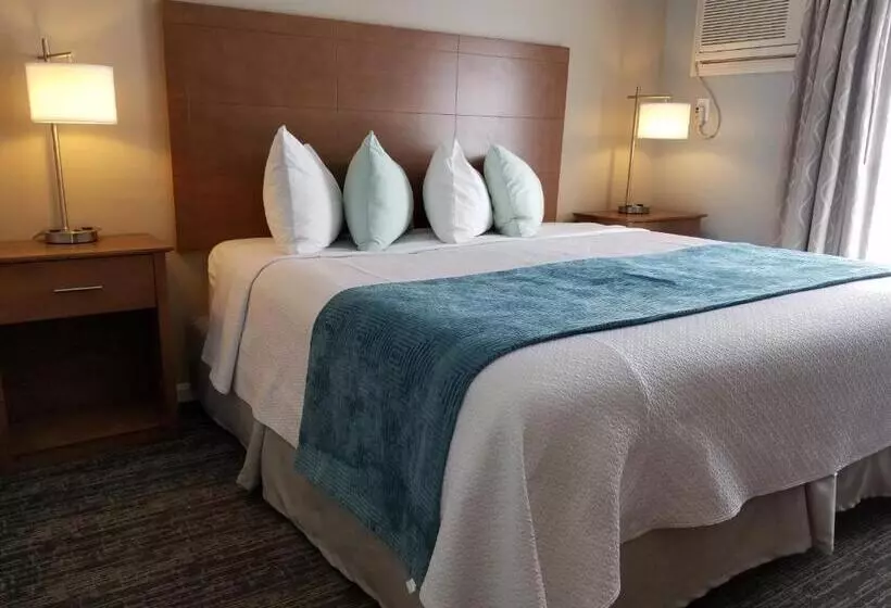 渡假胜地 Hampton Village Inn