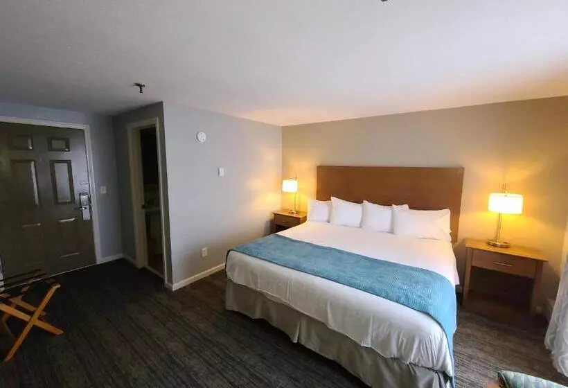 渡假胜地 Hampton Village Inn