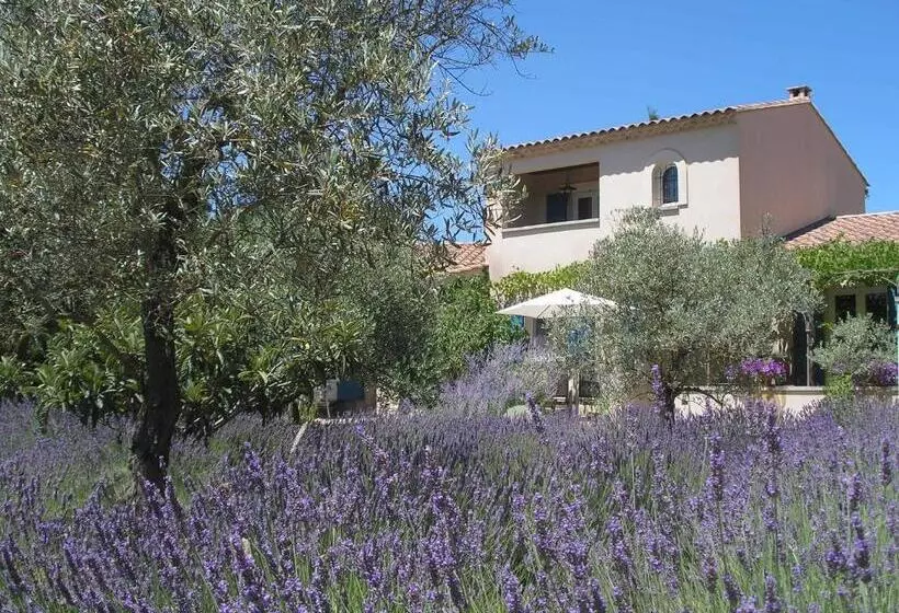 ベッドアンドブレックファースト Clos Des Lavandes   Chambres Et Suites De Charme Climatisées Luberon