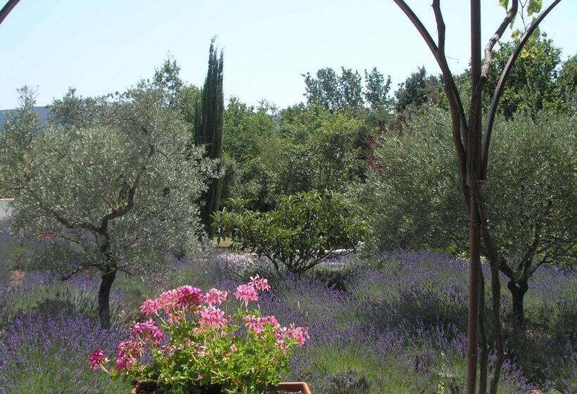 צימר Clos Des Lavandes Chambres Et Suites De Charme Climatisées Luberon