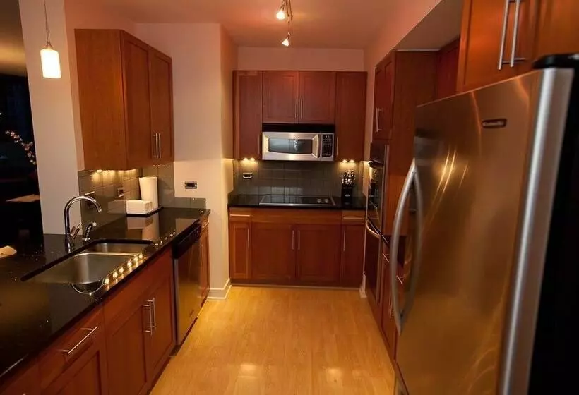 Chicago Downtown Condo   Michigan Ave Suite Id 14 15
