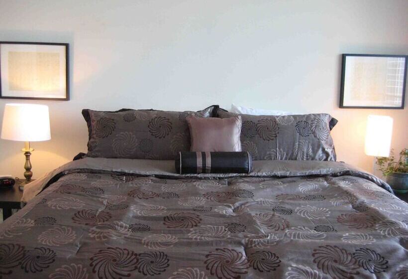 Chicago Downtown Condo   Michigan Ave Suite Id 14 15