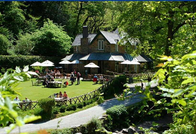 فندق Chough S Nest