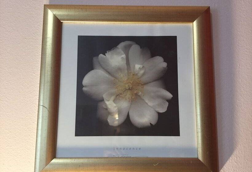 Inverness Apartments Courtyard