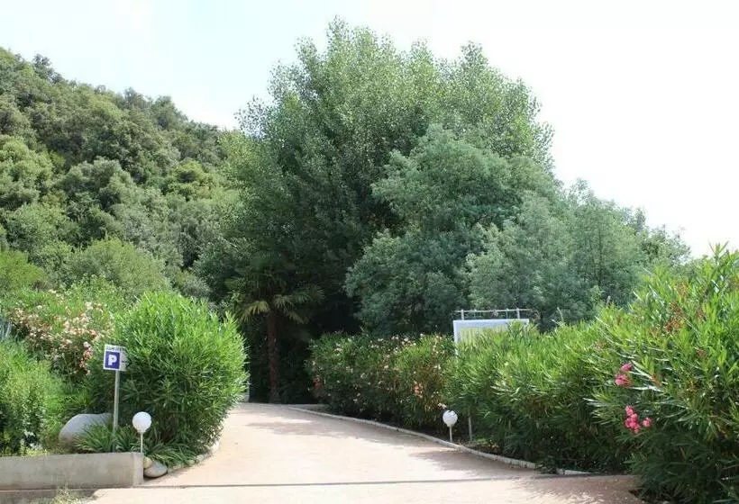 Mas Solar D En Malcion