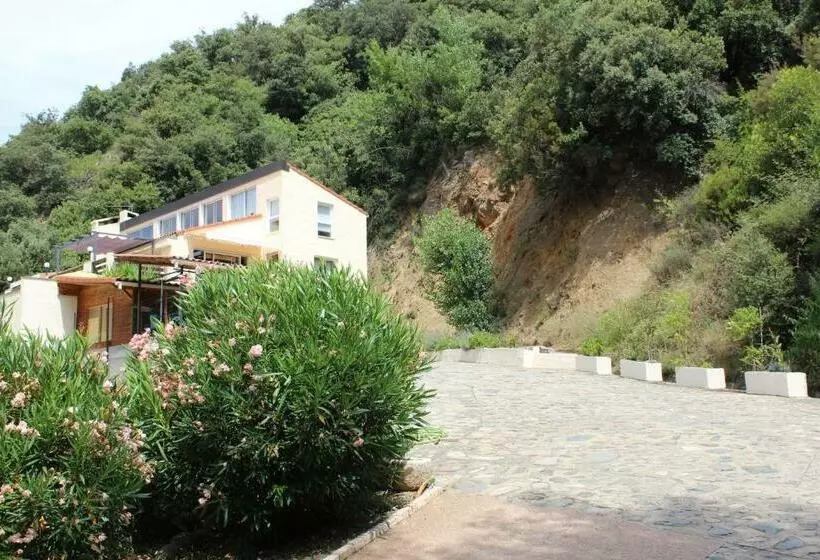 Mas Solar D En Malcion