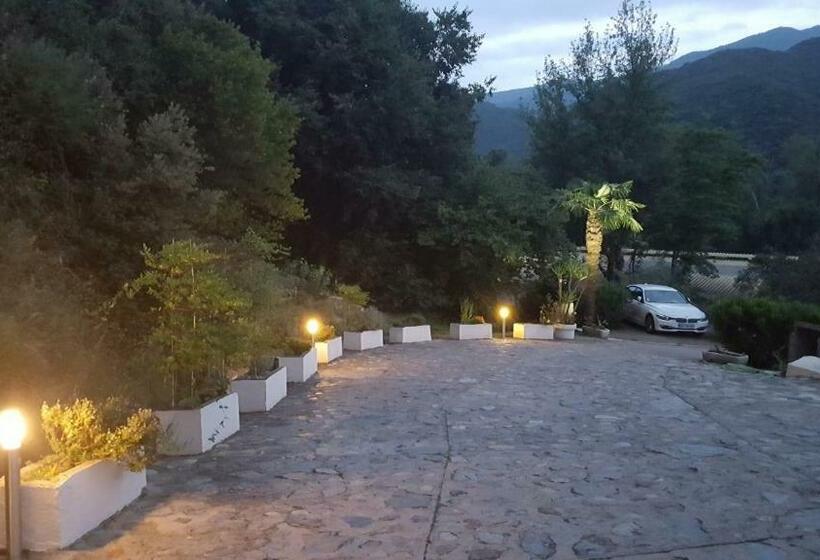 Mas Solar D En Malcion