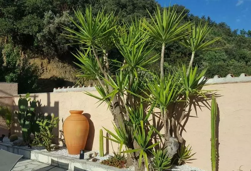 Mas Solar D En Malcion