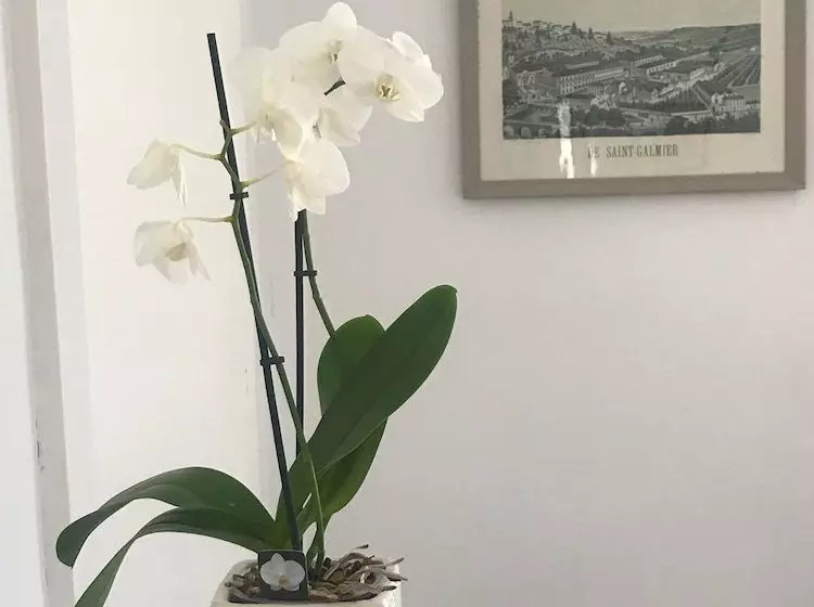 Majatalo Maison Ladevèze