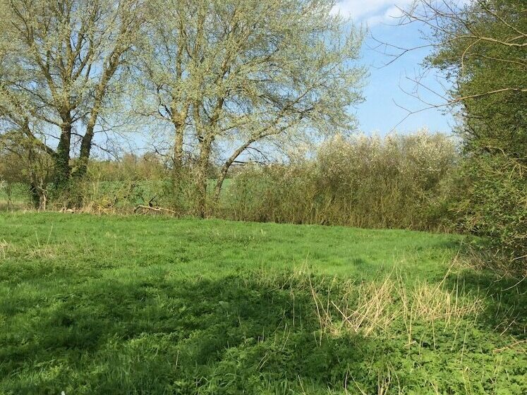 Bed and Breakfast Waldegrave Farm