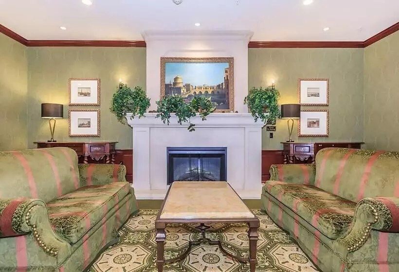 Las Premier Apartments