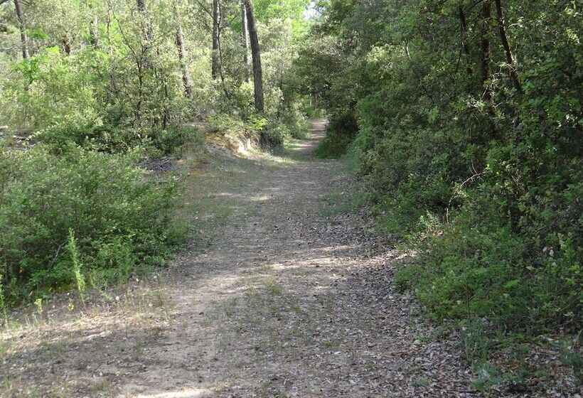 ホテル Camping Le Bois Verdon