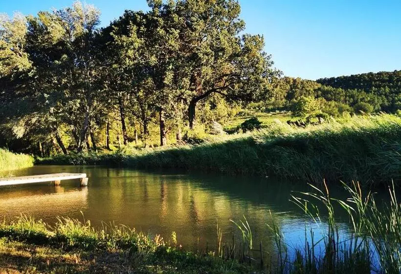 La Bastide Du Capelier   Chambre D Hôtes