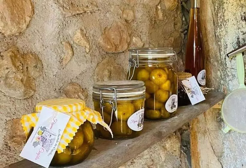 La Bastide Du Capelier   Chambre D Hôtes