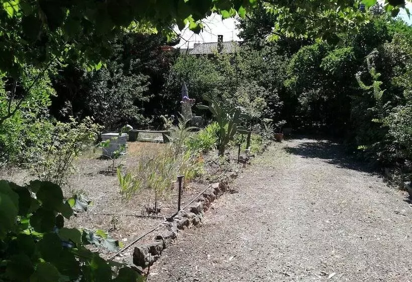 Bed and Breakfast Beau Mas à Montolivet