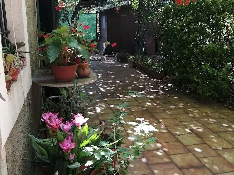 Bed and Breakfast Beau Mas à Montolivet