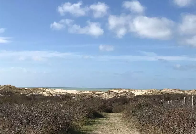 Petale De Rose, Dunes 3