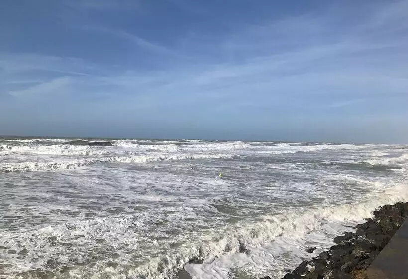 Petale De Rose, Dunes 3