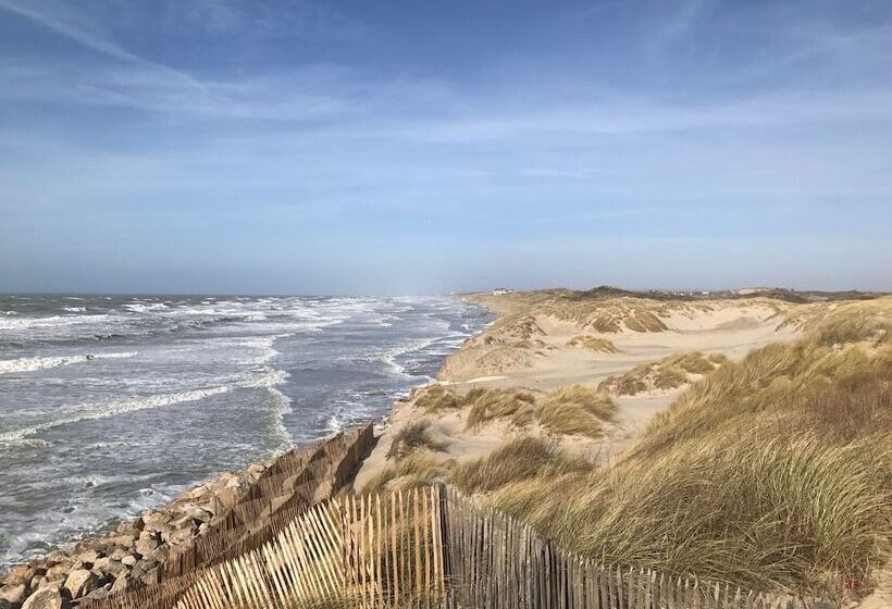 Petale De Rose, Dunes 3