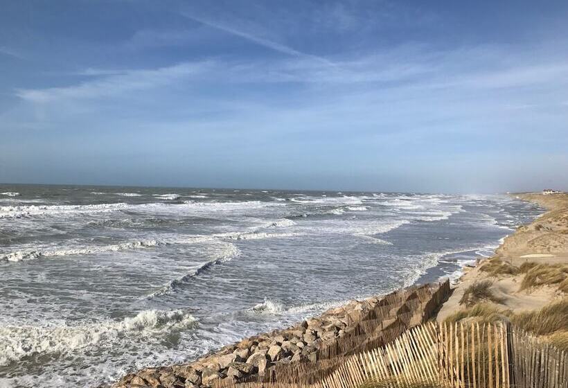 Petale De Rose, Dunes 3