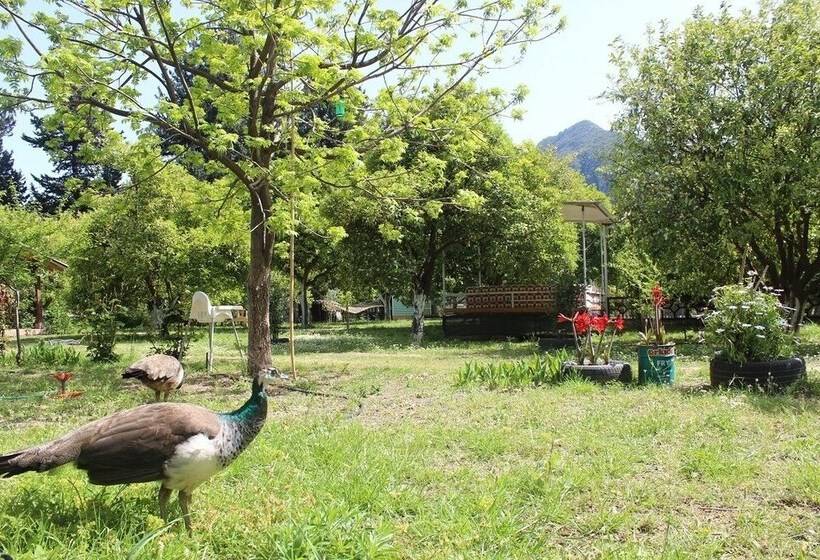 Alican Saklibahce Pension