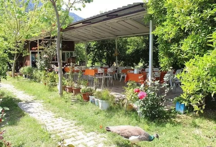 Alican Saklibahce Pension