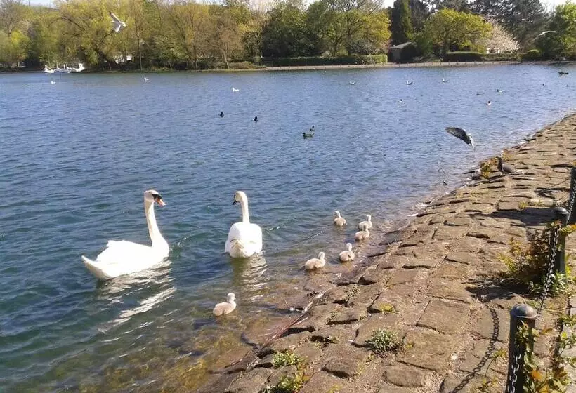 پانسیون Heathfield Place