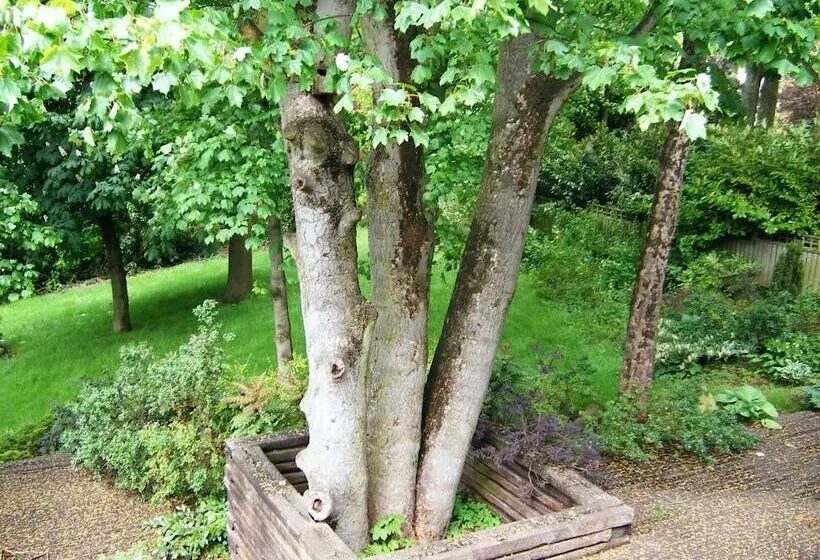 پانسیون Heathfield Place